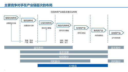 智能驅(qū)動，創(chuàng)新增長——XX食品智能制造與銷售維護一體化發(fā)展報告